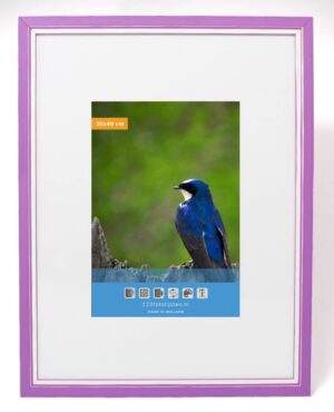 Wissellijst hout F302 3D violet met witte space