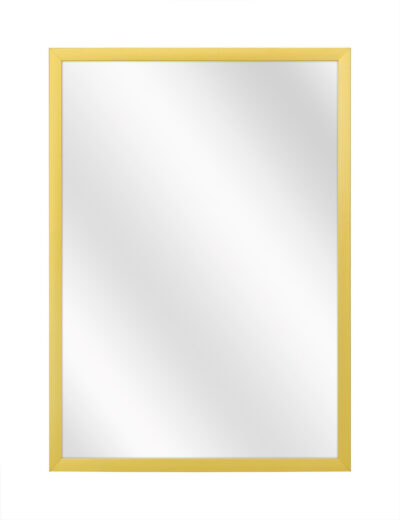 Aluminium spiegel F109 Mat goud - 10mm