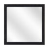 Houten spiegel F102 Zwart - 15mm