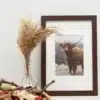 Houten fotolijst in donkerbruin met gebroken wit passe-partout